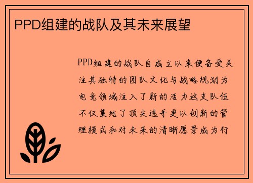 PPD组建的战队及其未来展望