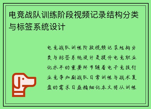 电竞战队训练阶段视频记录结构分类与标签系统设计